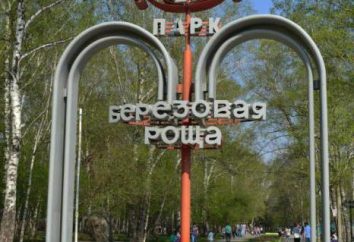 Park "Birch Grove" (Novossibirsk): histoire, examen, commentaires