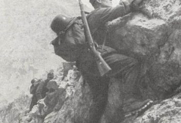 La Grande Guerra Patriottica, "Operazione Edelweiss"