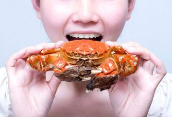 Wie man einen Salat von natürlicher Krabbe vorzubereiten?