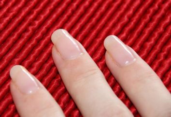 Bella delicata manicure (foto). Come rendere le dolci unghie corte manicure