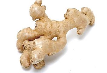 Propriedades úteis de ginger root: um mito ou uma cura real?