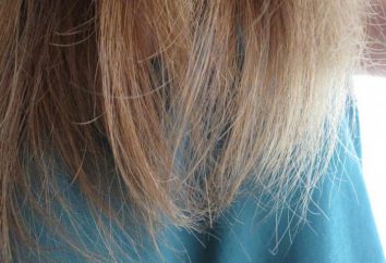 Kamm "Split-Ender": Bewertungen, Anweisungen. Split-Ender für die tägliche Pflege von langen Haaren