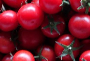 Baku pomidory: opis, zdjęcia.