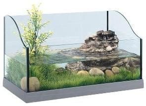 Quel devrait être l'aquarium pour les tortues