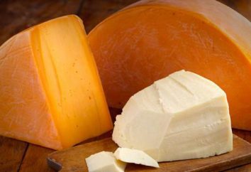 Käse aus Finnland: Arten, die Namen der besten Marken