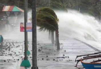 Che cosa è un tifone? Come si forma il tifone?