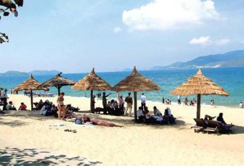 Hotel Bamboo Village Beach Resort & SPA 4 * Vietnam: opiniones, descripciones, especificaciones y comentarios