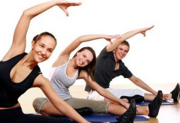 Cinesiterapia – es … fisioterapia: ejercicios en casa, comentarios