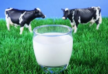 contenido de grasa, los riesgos y beneficios: la leche de vaca