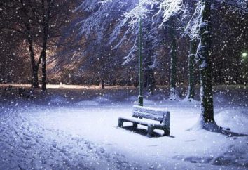Winter – es ist magische Saison. Geschenke der Natur im Winter