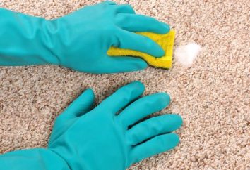 Wie der Teppich zu Hause reinigen? Die wichtigsten Möglichkeiten,