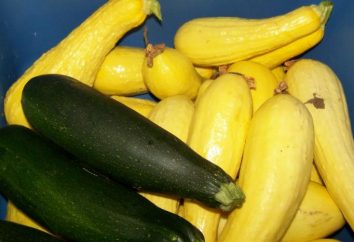 preforme Inverno: zucchini come ananas, l'inverno