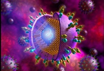 Wie viele leben mit „Hepatitis C“ Patienten?