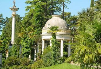 Soczi Park „Arboretum”: jak zdobyć opinie i zdjęcia