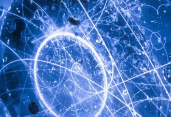 neutrino particella: definizione, proprietà, una descrizione. oscillazioni dei neutrini – it …