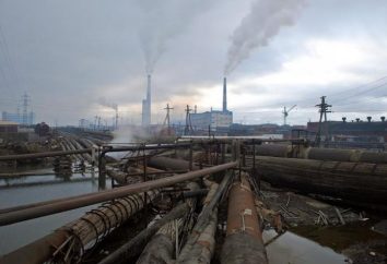 Städte und Bevölkerung. Ural ungeschminkt: Industrie, Umwelt