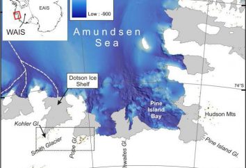Amundsen Sea: geologia, clima, la fauna
