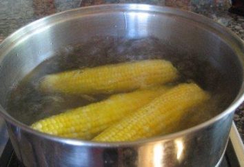 El maíz cocido es el beneficio y el daño del producto