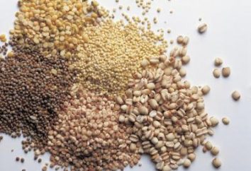 Os principais tipos de cereais: uma lista de fotos