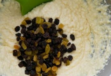 Remplissage des crêpes avec du fromage cottage – savoureux et sain de remplissage pour le dessert