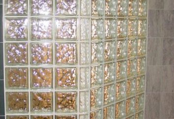 Briques de verre pour les murs. blocs de verre décoratif: taille, prix