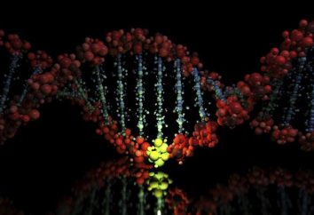 mutazioni del gene sono associati a cambiamenti nel numero e nella struttura dei cromosomi