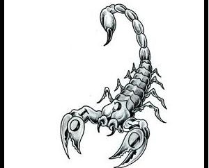Jak wygrać mężczyzna Skorpion Scorpio kobietę, a także do przedstawicieli innych znaków zodiaku?