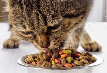 Go! (Cibo per gatti) – l'alimento perfetto per gli animali domestici