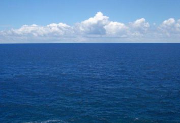 O que os continentes são lavados pelo Oceano Pacífico: a lista
