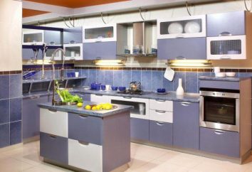 Diseño de la cocina 10 metros cuadrados: consejos sobre el registro de espacio
