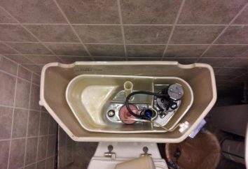 Zbiornik WC płynie – co robić? Remont zbiornika wc