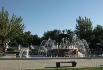 Rostov-on-Don, Ruota panoramica (Revolution Park): descrizione e fatti interessanti