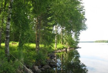 Goose Lake, Priozersk Bezirk – der perfekte Ort zum Entspannen