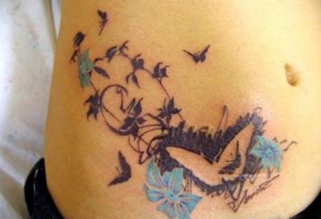 Schmetterlings-Tattoo. Was macht ein schönes Muster auf dem Körper