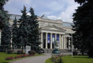 Moskwa, Muzeum Puszkina Sztuk Pięknych