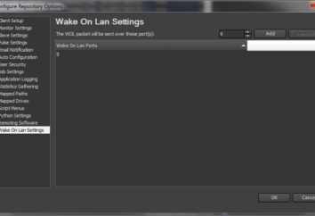 Wake-On-Lan – Descrizione del programma