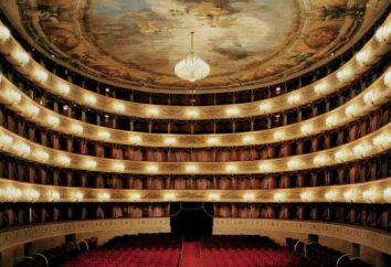 Les maisons d'opéra les plus célèbres dans le monde: la liste