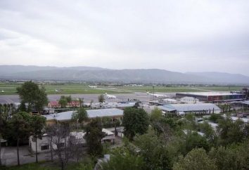 Aeroporto Dushanbe: Sommario