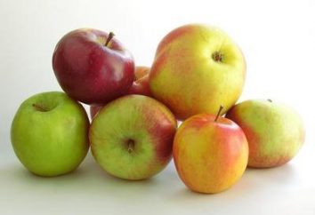 Grüner Apfel – BZHU. Red apple – BZHU