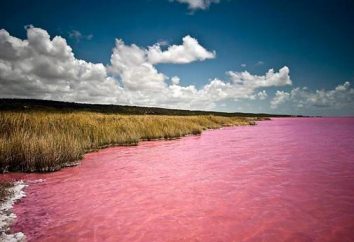Lago rosado en Altai. Dos hermoso estanque para colorear – Burlin y laca carmesí.