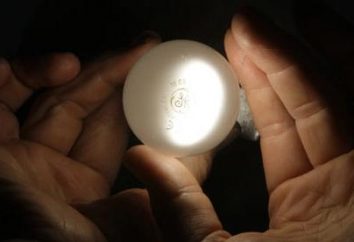 Dimmer per le lampadine a risparmio energetico – lo scopo e benefici