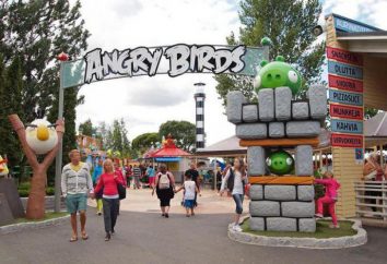 Angry Birds parco a tema