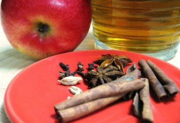 Conservas caseiras: como preparar o suco de maçãs para o inverno