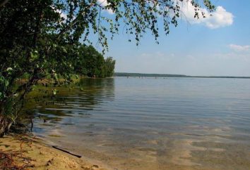 Lake Rubskoye – um descanso completo na região de Ivanovo