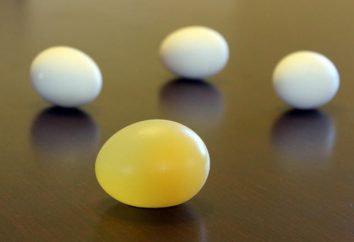 Perché la metà delle uova di striscio dentifricio? Esperimento per i bambini con l'uovo