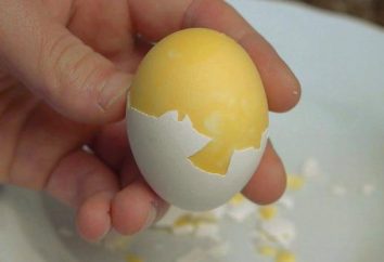 Como a ferver uma gema de ovo out: dicas artesãos