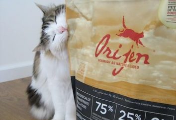 Orijen – karma dla kotów wszystkich ras
