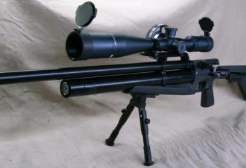 IL-60 rifle PCP: especificações e fotos
