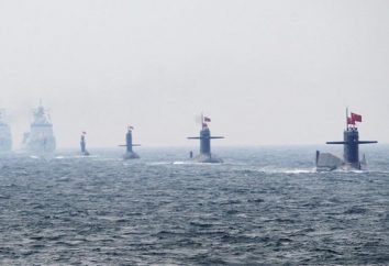 La Cina Navy: la composizione delle navi e decalcomanie
