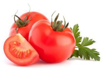 Pomidor Labrador: Charakterystyka uprawy